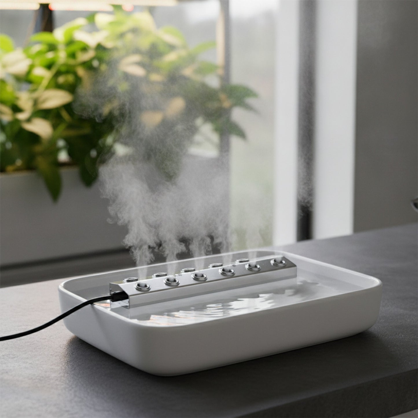 Zénix Mist Brumisateur Haut de Gamme