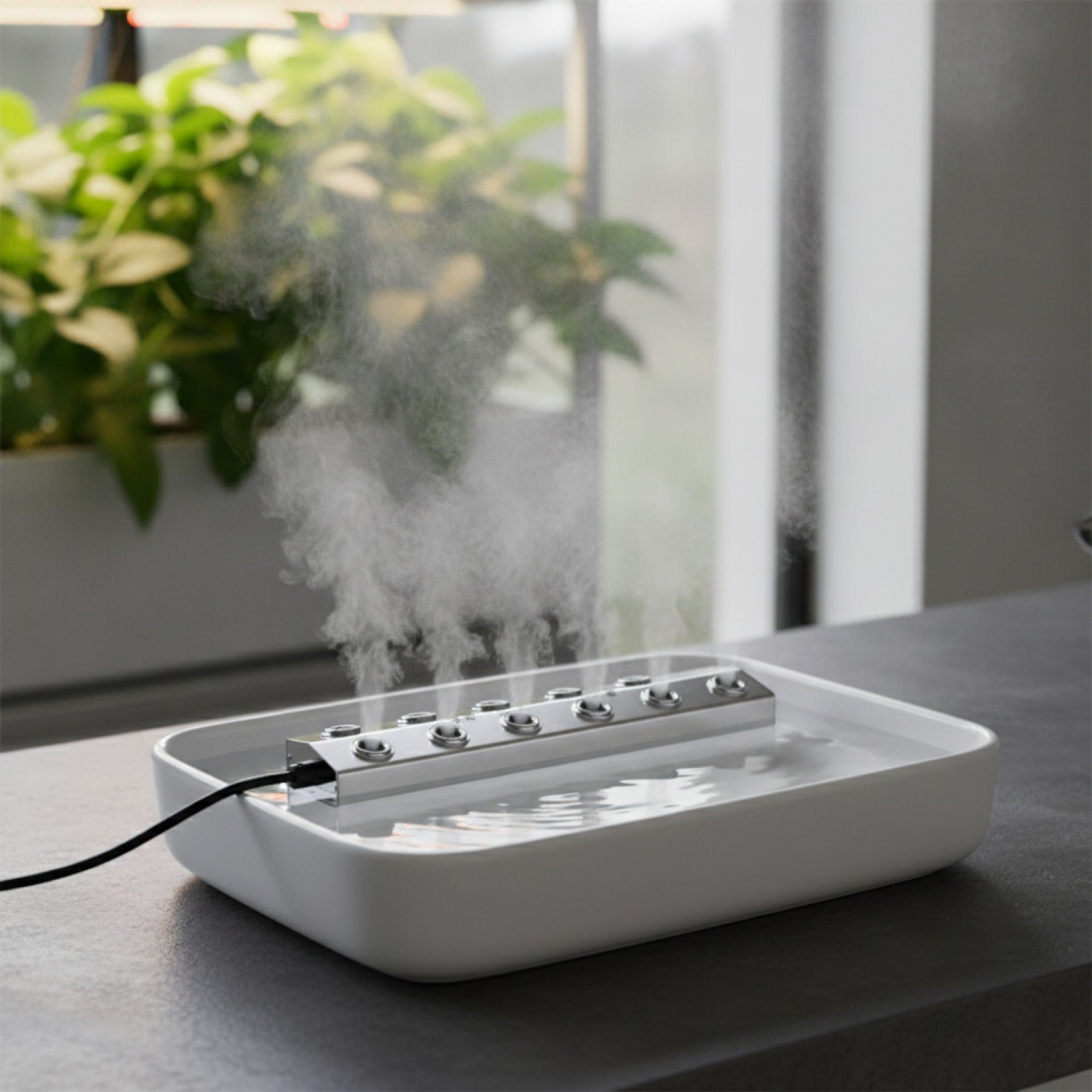 Zénix Mist Brumisateur Haut de Gamme